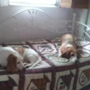 Meet your Posher, Virginia